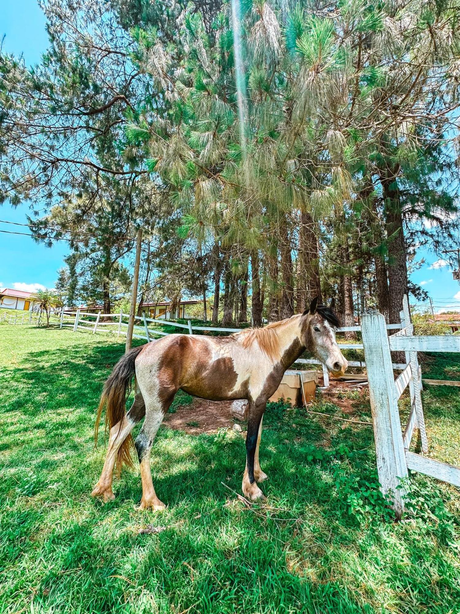 Pontal De Tiradentes